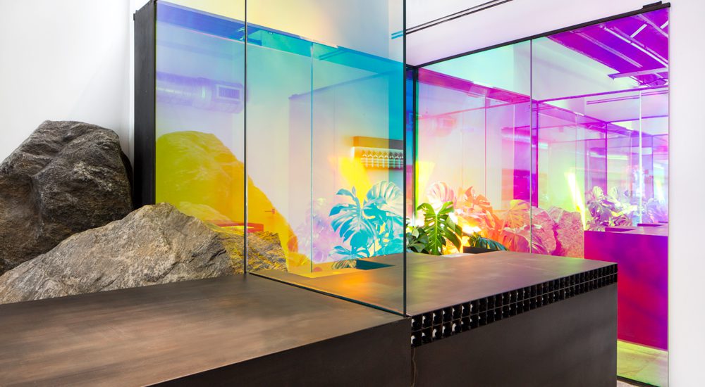 Le quartier de Wynwood à Miami est riche en contraste; la communauté artistique s’y est développée sur ce qui était un fief industriel. L’architecte Frida Escobedo a illustré cette particularité dans une boutique aux allures d’installation d’art. Un îlot central, découpé par de larges vitres recouvertes de film dichroïque, présente les produits dans un décor naturel de plantes et de blocs de granit monumentaux. La lumière ainsi réfractée offre une scène toujours nouvelle selon l’heure de la journée ou l’angle de vue.