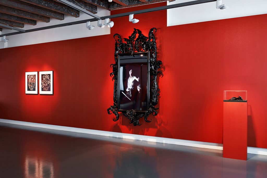 Mat Collishaw, Black Mirror, Hydrus. Photo © Daniela Droz & Tonatiuh Ambrosetti