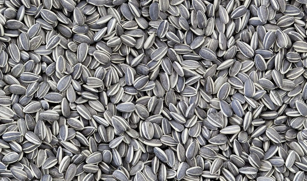 Sunflower Seeds (Graines de tournesol) (détail), 2010, porcelaine peinte à la main, 12 x 8 x 0.1 cm © Studio Ai Weiwei